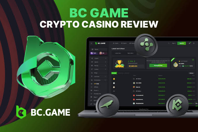 Explore the BC.App Mirror Site for Seamless Gaming